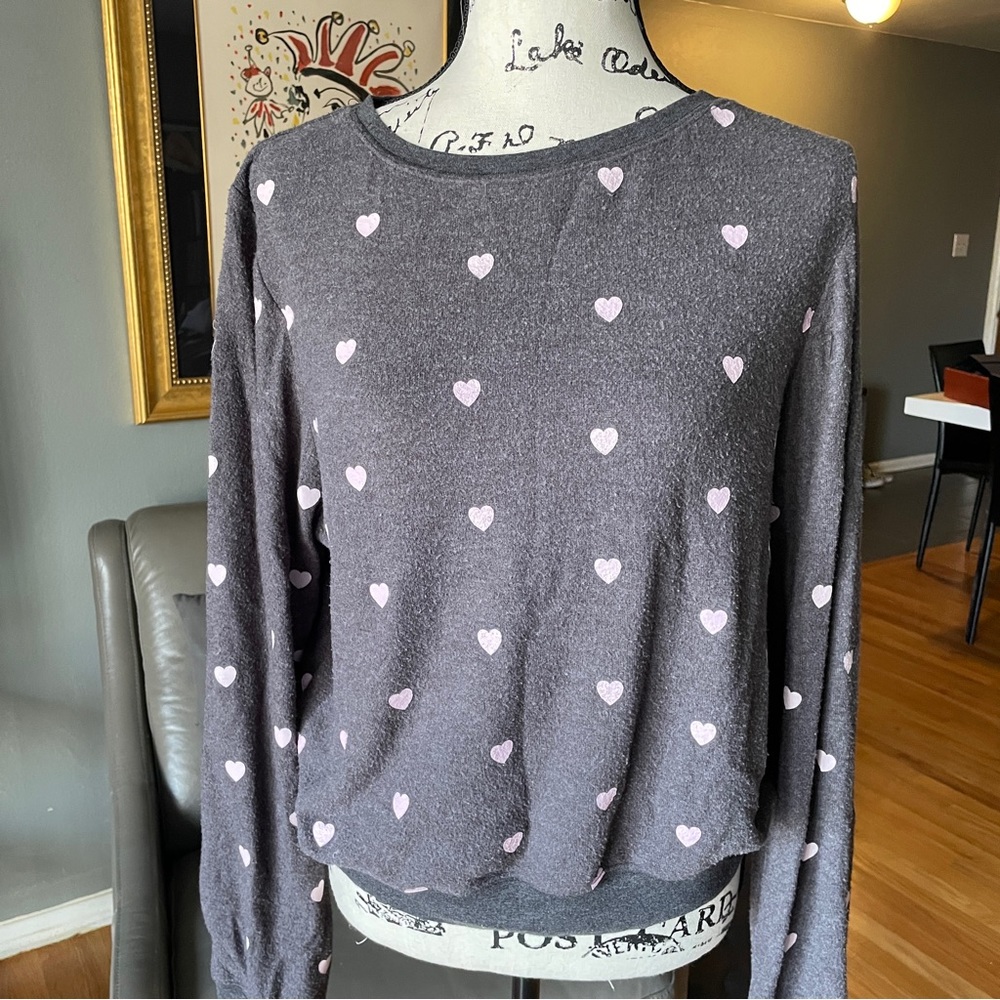 Wildfox sweatshirt
